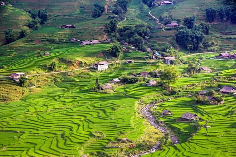 Natural landscape, Bird's eye view