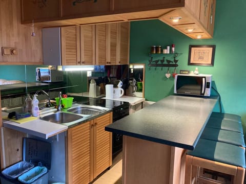 Apartment Evergreen Bovec Apartment in Bovec