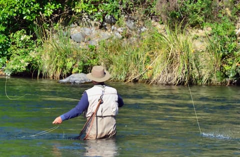 La Pilarica River & Mountain Lodge Inn in Los Lagos, Chile