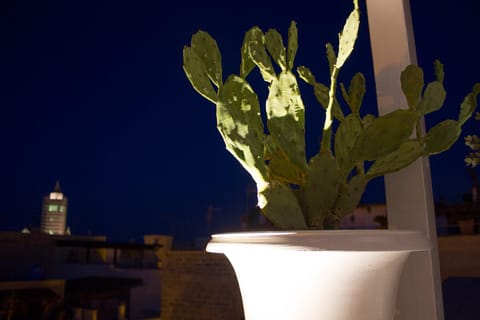 Muragie del Castello B&B Bed and Breakfast in Trani