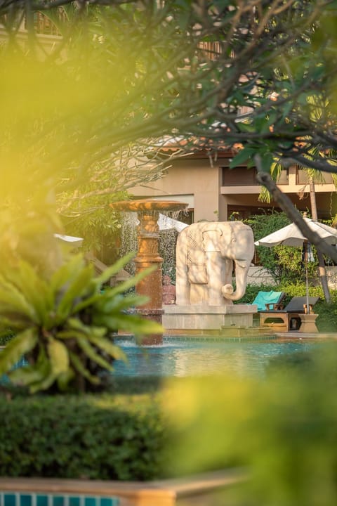 Pool view, Swimming pool