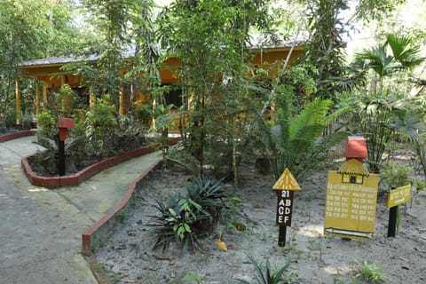 Amazon Ecopark Jungle Lodge Natur-Lodge in State of Amazonas