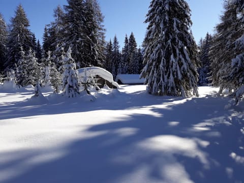 Appartamento Mariuccia Apartamento in Friuli-Venezia Giulia