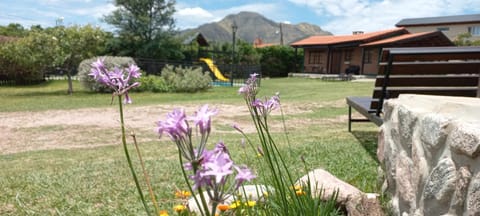 Garden, Garden view, Mountain view