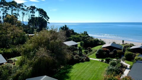 Day, Bird's eye view, Garden, Garden, Beach, Autumn, On site