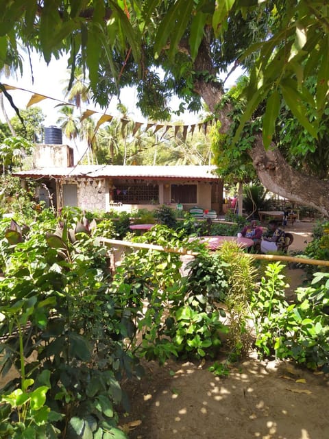Centre Touristique et Culturel Casamance Country House in Senegal
