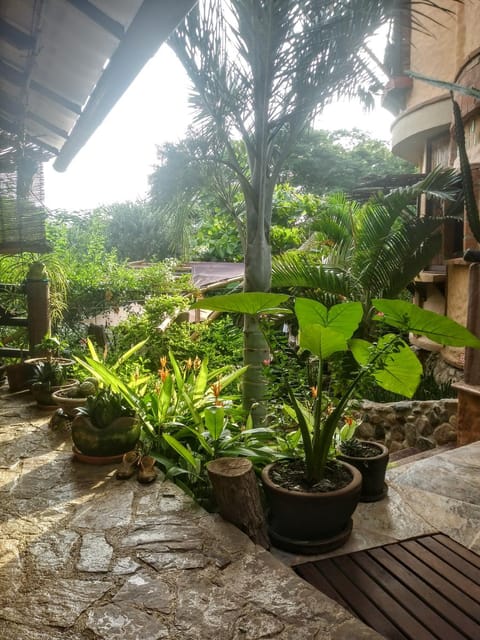 Garden view