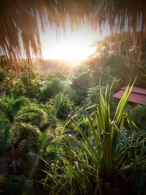 Posada Olivo Hotel in State of Oaxaca