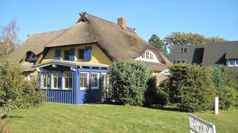 Property building, Day, Garden