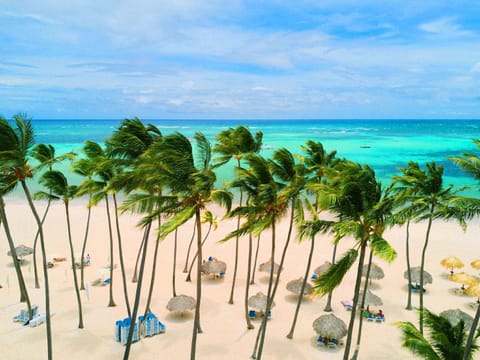 Natural landscape, Bird's eye view, Beach, Sea view