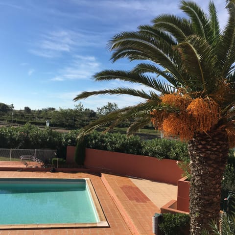 Pool view, Swimming pool