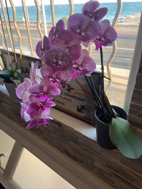 O Phare du Cros Apartment in Cagnes-sur-Mer