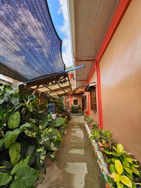 Ferranco Tourist Inn Gasthof in San Vicente