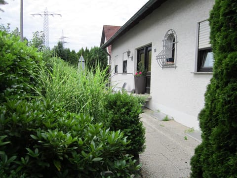 Facade/entrance, Garden