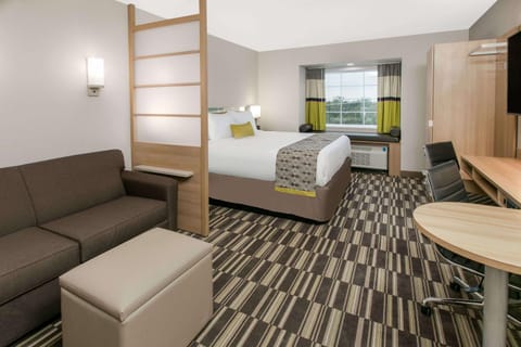 Microtel Inn & Suites by Wyndham Lubbock Hotel in Lubbock