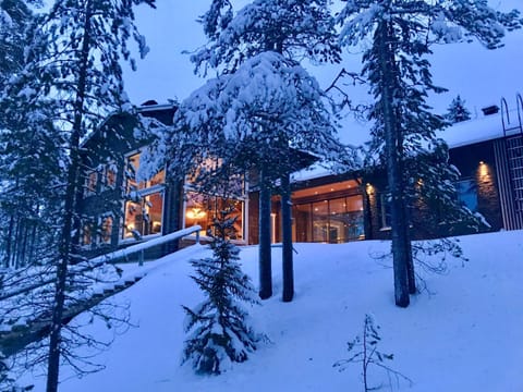 The Little Elk Chalet in Lapland