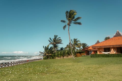 Garden, Sea view