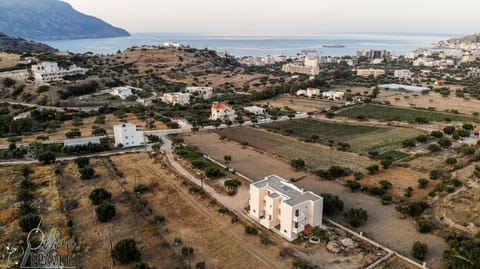 Olive Epavlis Eigentumswohnung in Karpathos