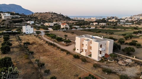 Olive Epavlis Condominio in Karpathos
