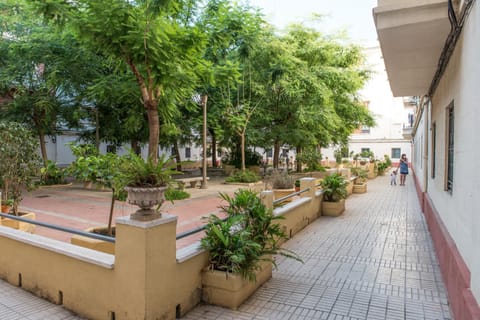 Patio, Garden view