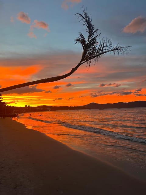 Natural landscape, Sea view, Sunset