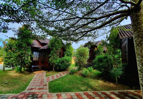 Day, Garden, Garden, Garden view