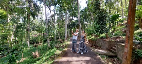 Natural landscape, group of guests