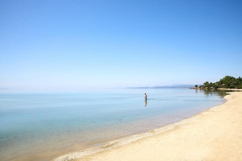 Anthemus Sea Beach Hotel and Spa Resort in Halkidiki
