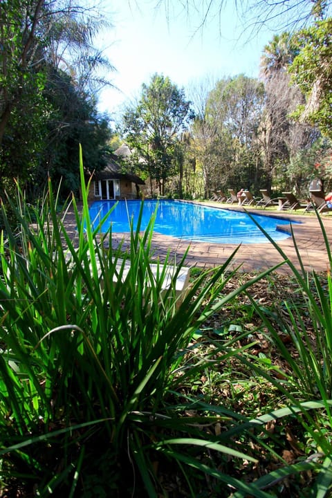 Garden, Swimming pool, Swimming pool