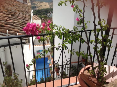 Pool view