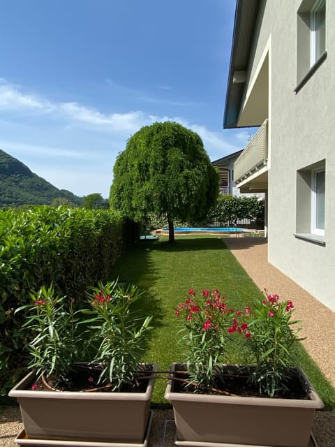 Garden, Garden view