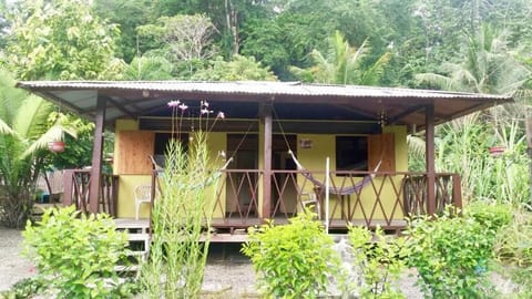 Ecolodge Mar y Rio Albergue natural in Choco, Colombia