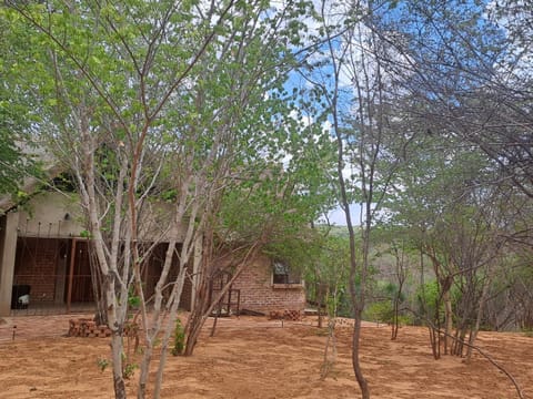 Property building, Garden view