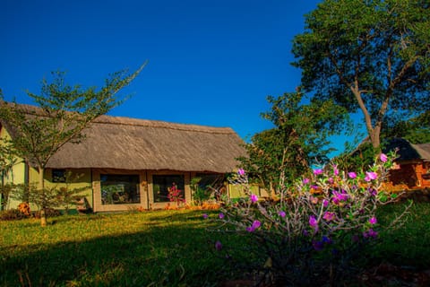 Property building, Garden, Garden, Garden view, kitchen