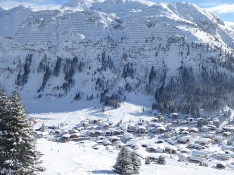 Skiing, Area and facilities