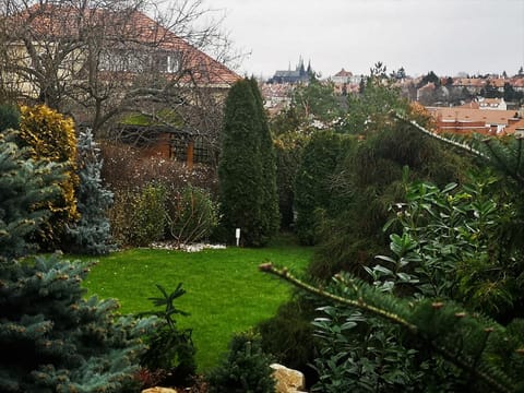 Garden, City view, Garden view, Landmark view