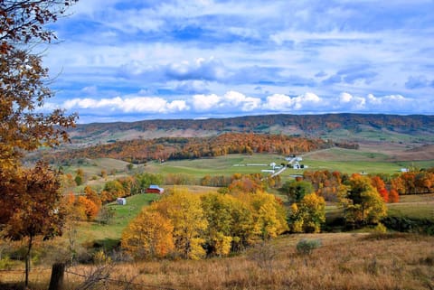 A B&B at Llewellyn Lodge Bed and Breakfast in Lexington