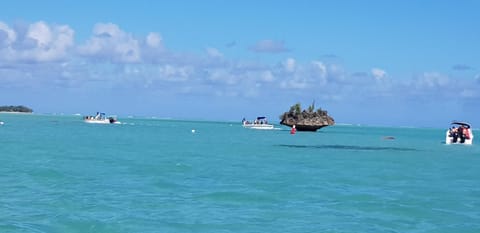 La casa Mia guesthouse House in Rivière Noire District, Mauritius