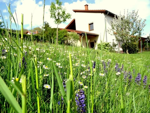 Property building, Other