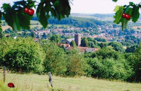 Property building, Natural landscape