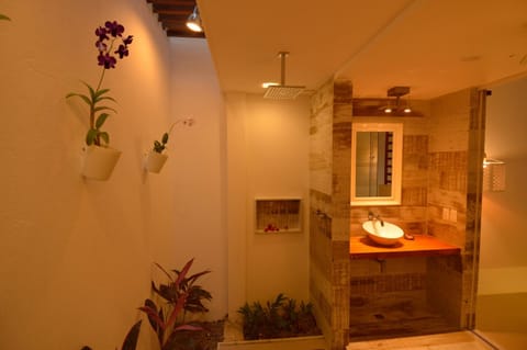 Shower, Garden, Bathroom, Bedroom