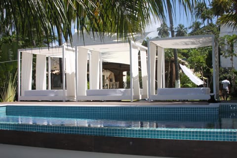 Garden, Lounge or bar, Food, Swimming pool, Swimming pool, Drinks