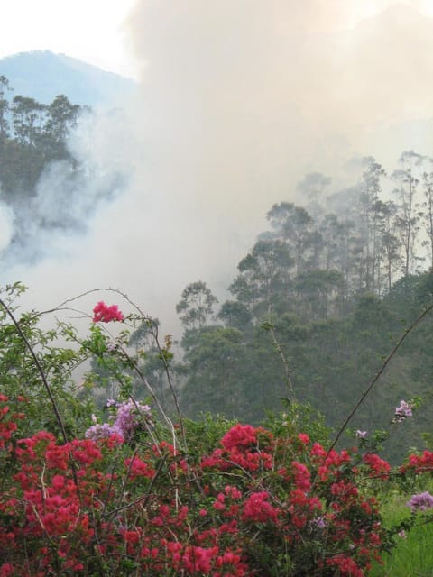Casitas Jeruti Landhaus in Monteverde