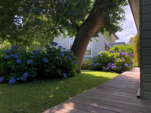 Idyllic Lakehouse - dog is welcome fenced garden Apartment in Drenthe (province)