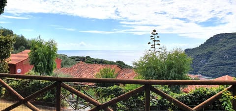 Garden, Mountain view, Sea view