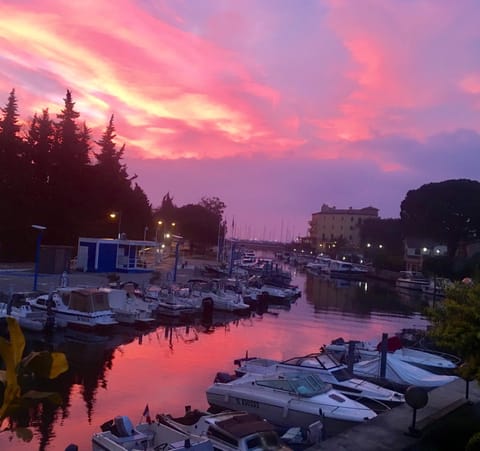 Bord de mer avec vue Condo in Mandelieu-La Napoule