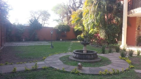 Patio, Garden