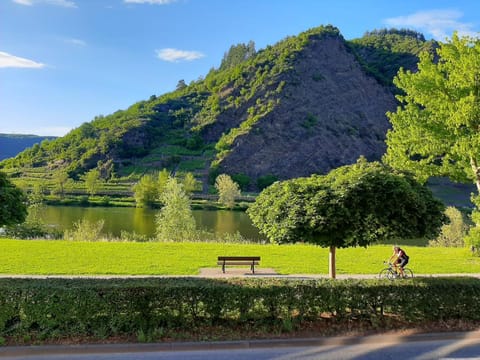 Haus Mosella Apartment in Cochem-Zell