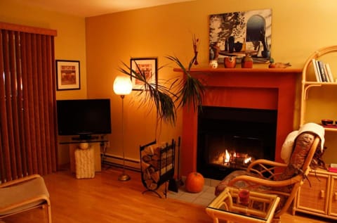 Magog Lovely Vacation Home Condo in Magog