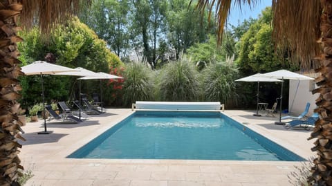 Natural landscape, Garden, Garden view, Pool view, Swimming pool, sunbed